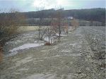 Wasserrückhalt In Der Landschaft Und Biotopverbund - Wasserwirtschaft ...