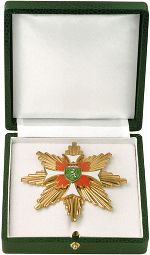 Großes Goldenes Ehrenzeichen des Landesfeuerwehrverbandes für Steiermark 