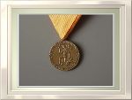 Tiroler Medaille Feuerwehr und Rettung Bronze © Land Tirol